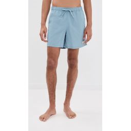 Solid Stone Swim Trunks 5