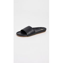 Gallito Slides