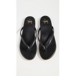 Sunbeam Flip Flops