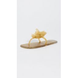Flower Jelly Flat Sandal