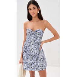 Rossy Leopard Dress
