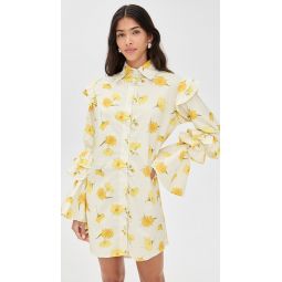 The Night Owl Dress