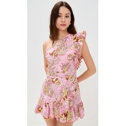 Corinne Mini Dress
