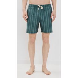 Paisley Stripe Beach Shorts 6